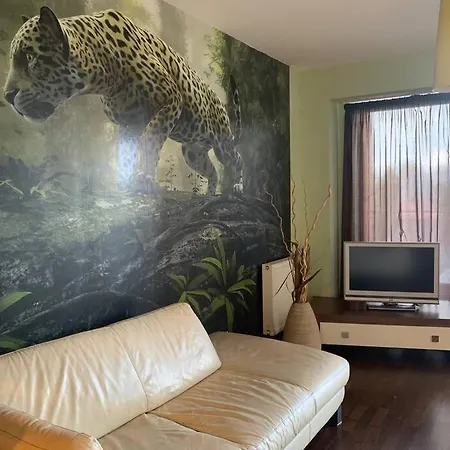 Leopard Studio Incity Apartment