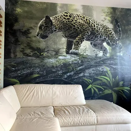 Leopard Studio Incity * Bucharest