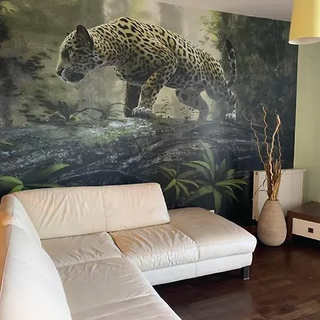 Leopard Studio Incity *